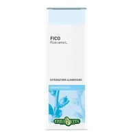 GEMMODERIVATO FICO 50ML EBV