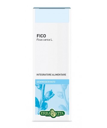 GEMMODERIVATO FICO 50ML EBV