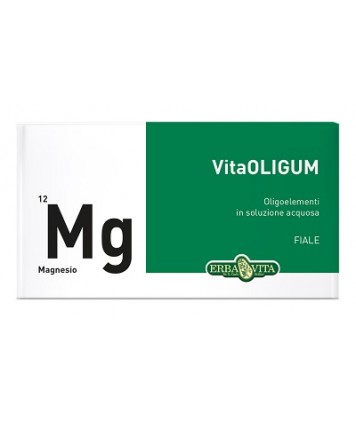 VITAOLIGUM MAGNESIO 20F