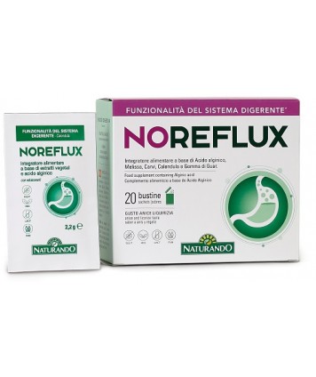 NATURANDO NOREFLUX 20 BUSTINE