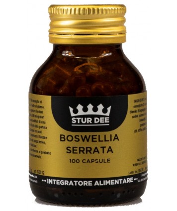 STUR DEE BOSWELLIA 100CPR