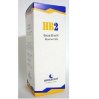 HB 2 FLOGOSIL 50ML