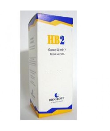 HB 2 FLOGOSIL 50ML