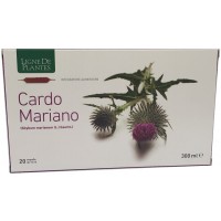 CARDO MARIANO 20AB 15ML