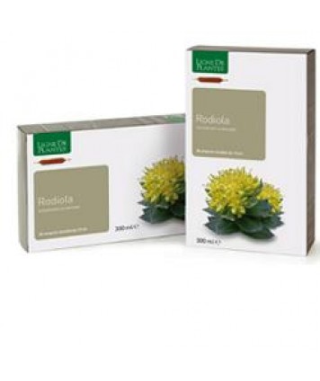 NATURA SERVICE RODIOLA 20 AMPOLLE 15ML 