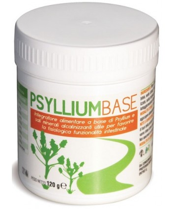 AVD REFORM PSYLLIUM BASE POLVERE 120G