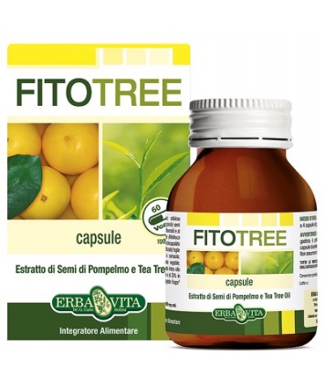 FITOTREE 60CPS EBV