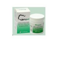 HAIRGARD 60 COMPRESSE 500MG