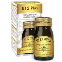 B12 PLUS PASTIGLIE 30G GIORG