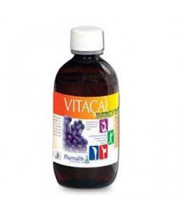 VITACAI ENERGY OXI 500ML