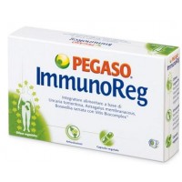 PEGASO IMMUNOREG 40 CAPSULE 