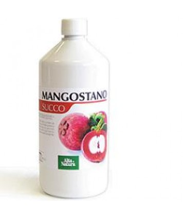 MANGOSTANO SUCCO 1L INALME