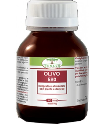 OLIVO 580 60CPS