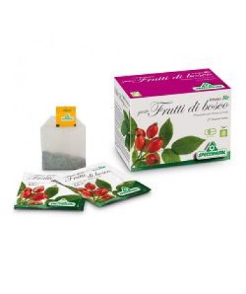 SPECCHIASOL INFUSO BIO FRUTTI DI BOSCO 20 FILTRI 