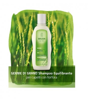 WELEDA GERME DI GRANO SHAMPOO 190ML 