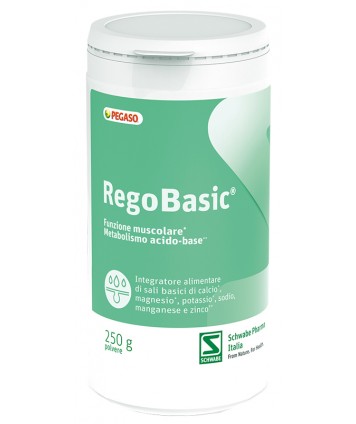 PEGASO REGOBASIC POLVERE 250G