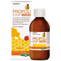 PROPOLI EVSP FLUIDO J CIL100 EBV