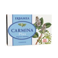 CARMINA PLUS 24CPR 800MG S/GL ER