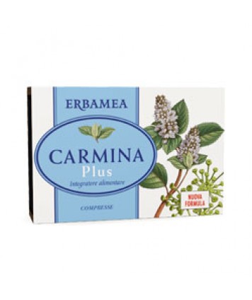 CARMINA PLUS 24CPR 800MG S/GL ER