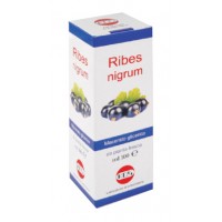 KOS RIBES NIGRUM MACERATO GLICERICO GOCCE 100ML 