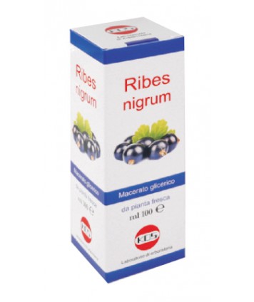 KOS RIBES NIGRUM MACERATO GLICERICO GOCCE 100ML 