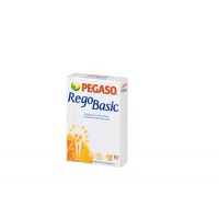 PEGASO REGOBASIC 12 BUSTINE 