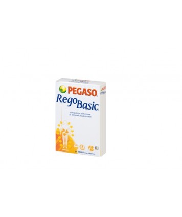 PEGASO REGOBASIC 12 BUSTINE 