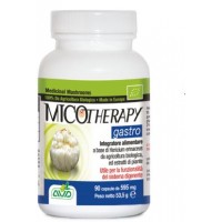 AVD REFORM MICOTHERAPY GASTRO 90 CAPSULE