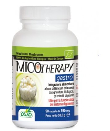 AVD REFORM MICOTHERAPY GASTRO 90 CAPSULE