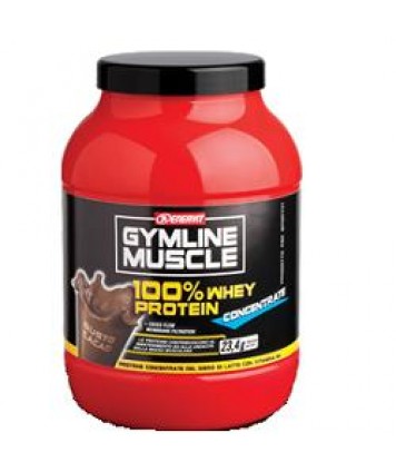 GYMLINE 100% WHEY CONCENTRATE CACAO