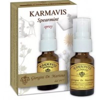 KARMAVIS SPEARMINT SPRY 15M GIOR