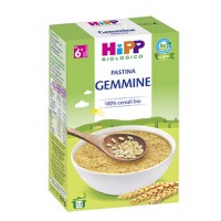 HIPP BIO PASTINA GEMMINE 320G