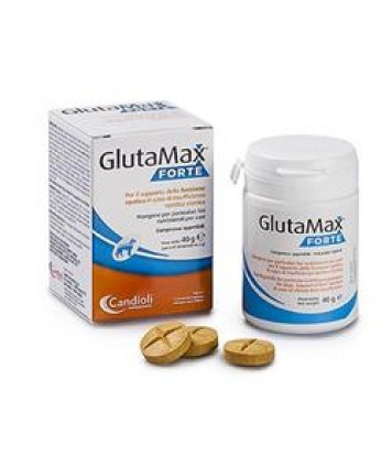 GLUTAMAX FORTE 20 COMPRESSE