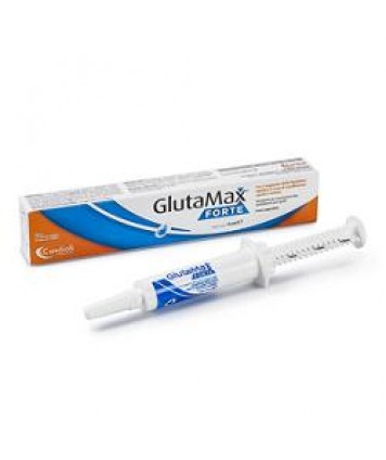 GLUTAMAX FORTE PASTA 15ML