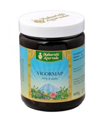 VIGORMAP PASTA 600G