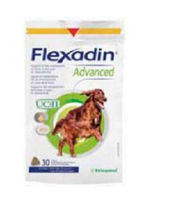 FLEXADIN ADVANCED 30TAV MASTIC