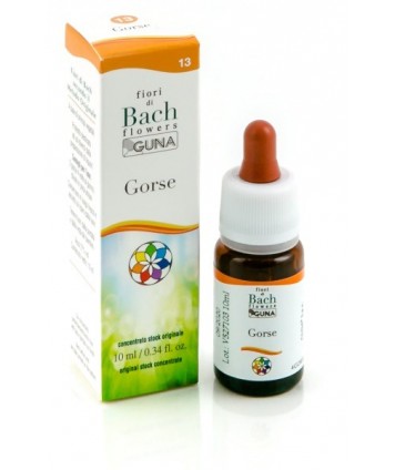 GORSE 13 10ML GTT BACH GUNA