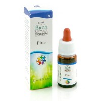 GUNA PINE 24 FIORI DI BACH 10ML 