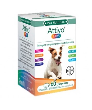 ATTIVO TABS 60TAV VET