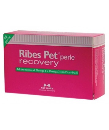 NBF RIBES PET RECOVERY 60 PERLE