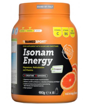 ISONAM ENERGY ORANGE POLV 480G