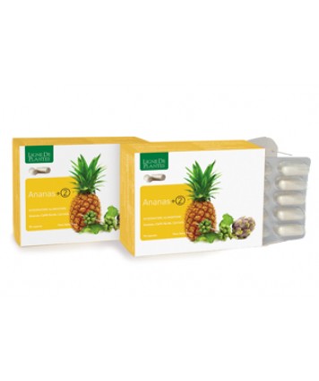 ANANAS +2 90CPS NATURA SERVICE