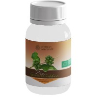 BIO GREEN COFFEE 60CPR