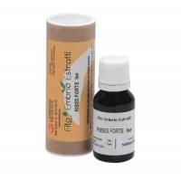 RIBES FORTE FEE 15ML UNDA