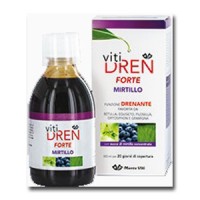 VITIDREN FTE MIRTILLO 300ML