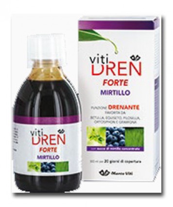 VITIDREN FTE MIRTILLO 300ML