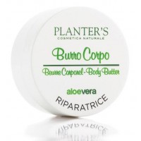 PLANTERS ALOE BURRO 10REG125ML