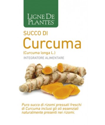 CURCUMA BIO SUCCO 250ML