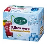 RIBES NERO INFUSIONE A FREDDO 15