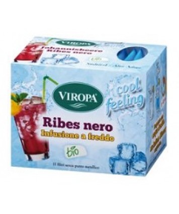 RIBES NERO INFUSIONE A FREDDO 15